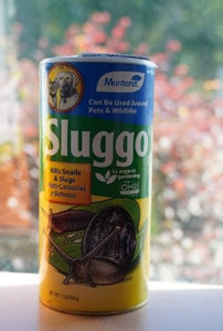 Sluggo Snail Slug